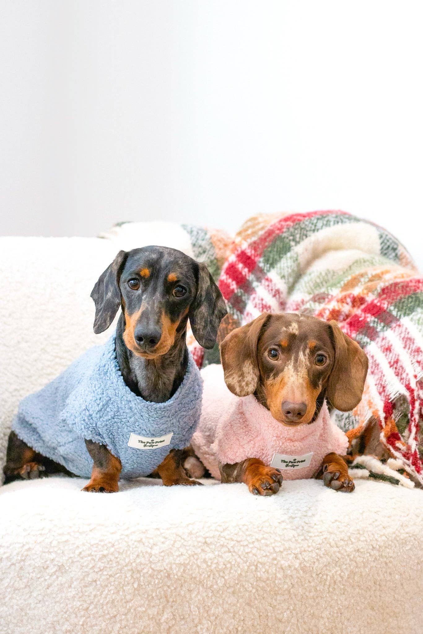 The Paw Print Boutique – wholesale Pet jumper – Dog – Teddy Fleece - Dusky Blue9