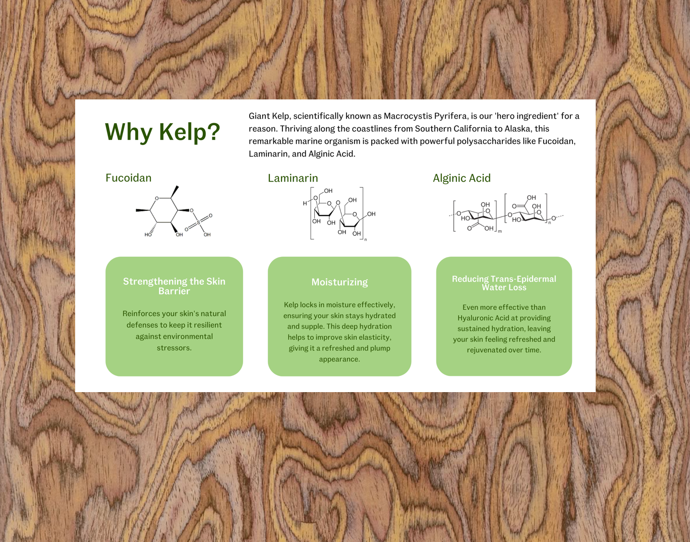 Neptune Ave. - Wholesale Sunscreen - Barrier Repair Sunscreen SPF 5010