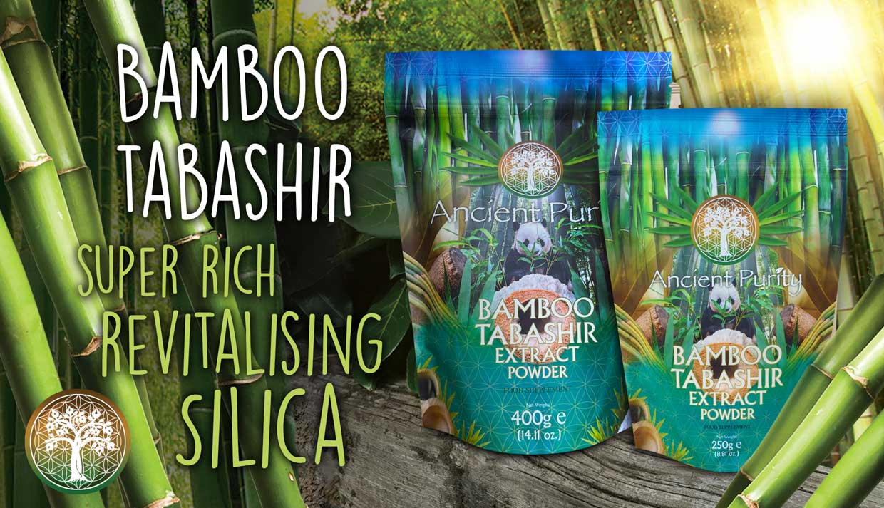 Ancient Purity – wholesale Protein-/superfoodpulver – Bambutabashir-extraktpulver | Bambuharts | Kiseldioxid2