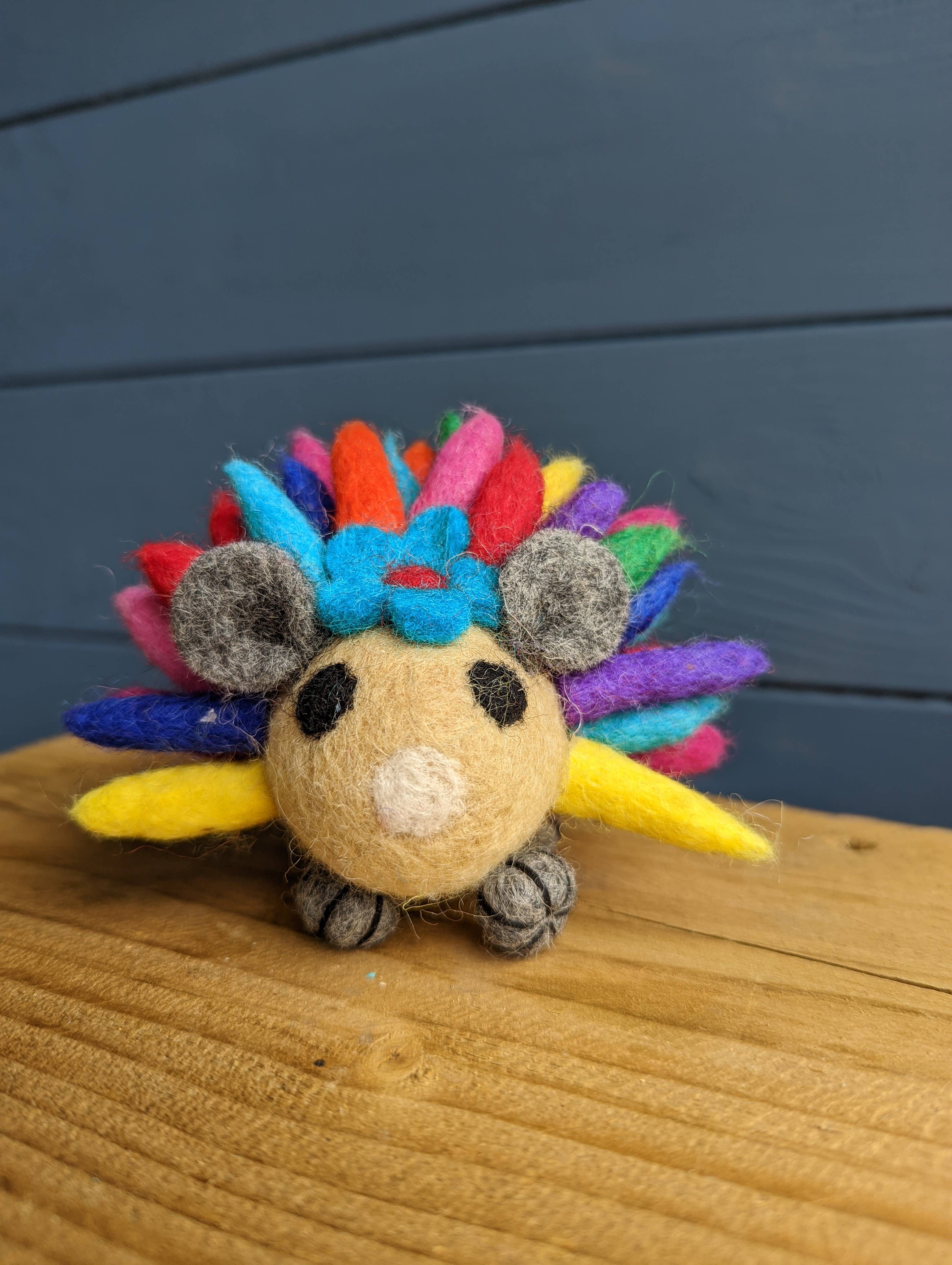 Cool Trade Winds – wholesale Dekorativt bordsobjekt – Filtad Multi Bright Rainbow Igelkott0