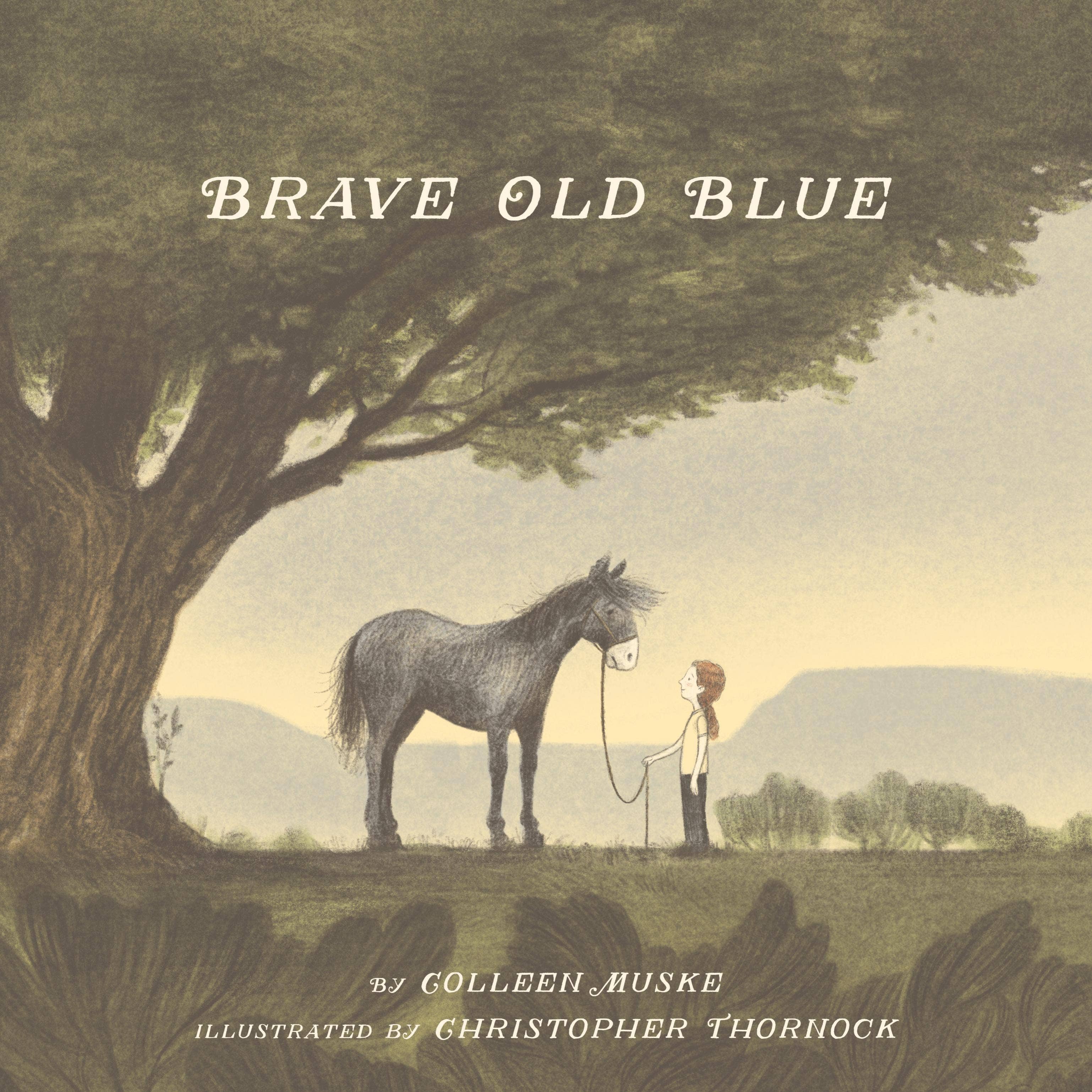 Sleeping Bear Press - Wholesale Preschool Book (3-5) - Brave Old Blue Picture Book0