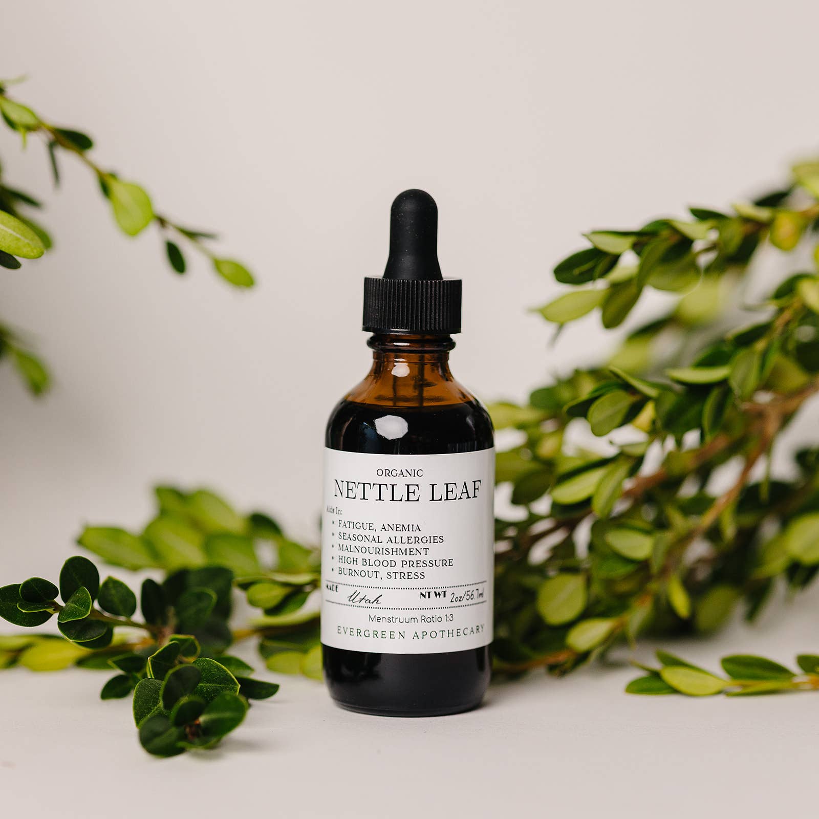 Evergreen Apothecary - Wholesale Tincture - Nettle Leaf Tincture, Herbs for Symptoms No. 101