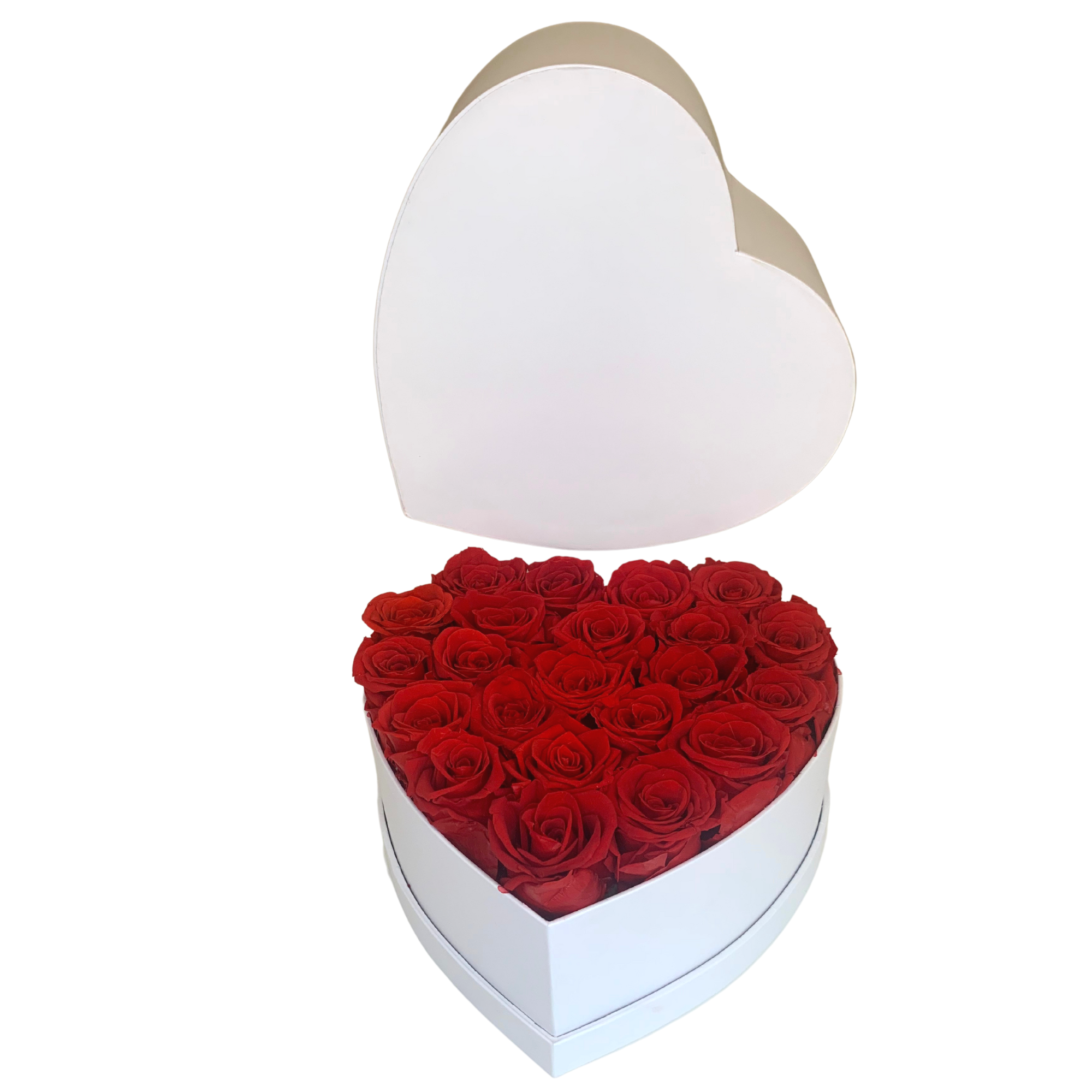 verona home and gift - Wholesale Dried/Pressed Flowers - Real Preserved Roses that Last Forever 36