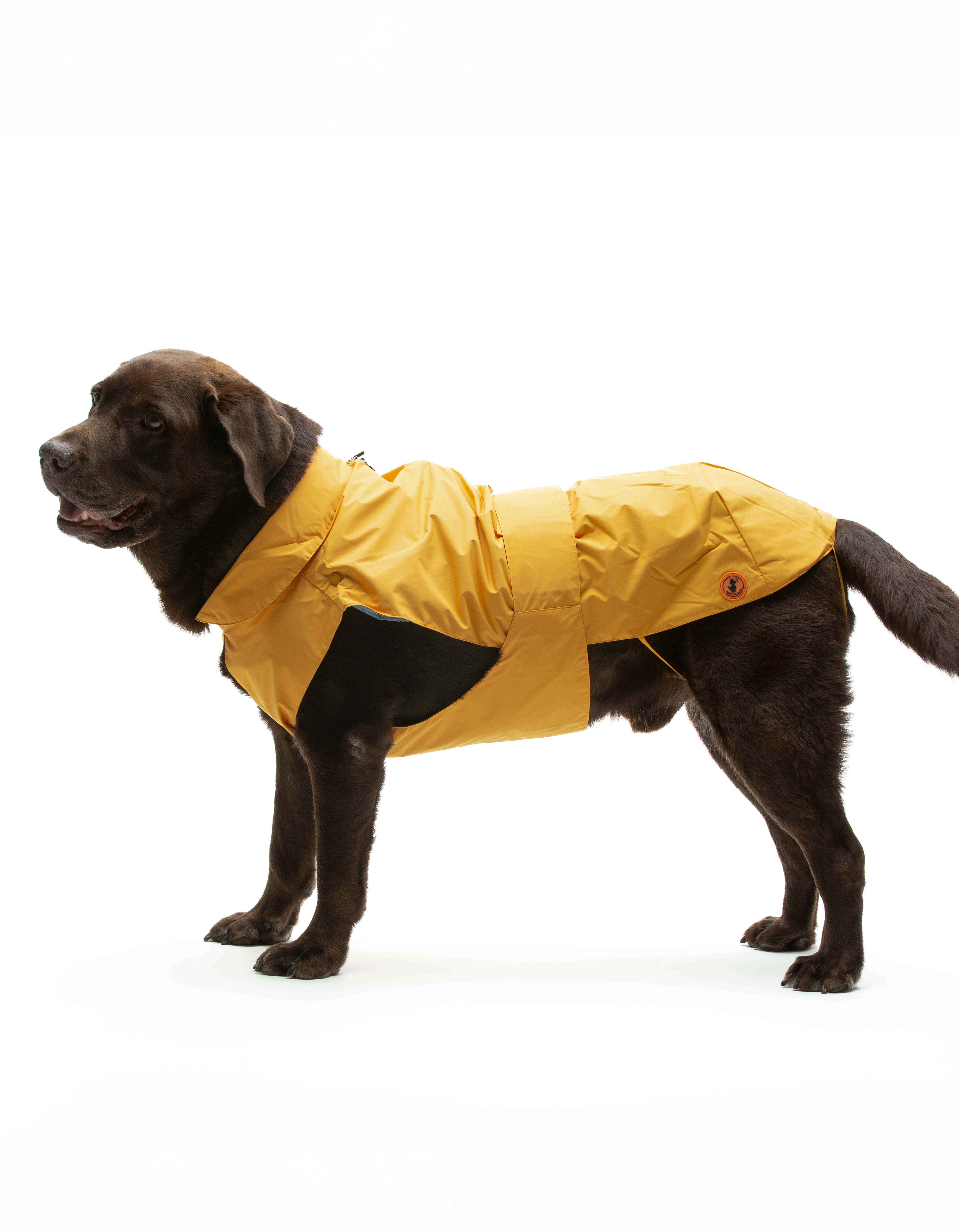 United Pets - Wholesale Pet Raincoat - Dog - Save the Duck x United Pets Yellow Dog Coat4