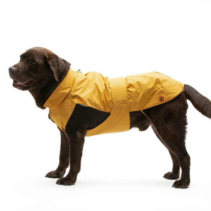 United Pets - Wholesale Pet Raincoat - Dog - Save the Duck x United Pets Yellow Dog Coat4