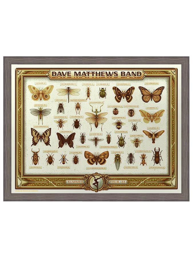 Dave Matthews Band | Summer '22 for wholesale by Half Hazard Press
