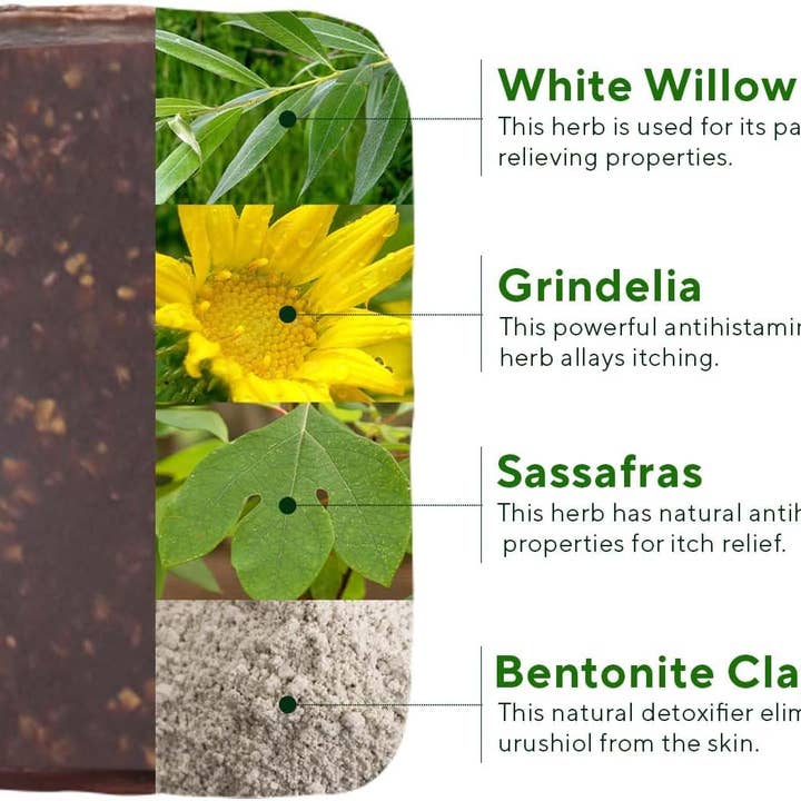 Marie's Original Formulas - Wholesale First aid kit - Poison Ivy/Oak Relief Soap3