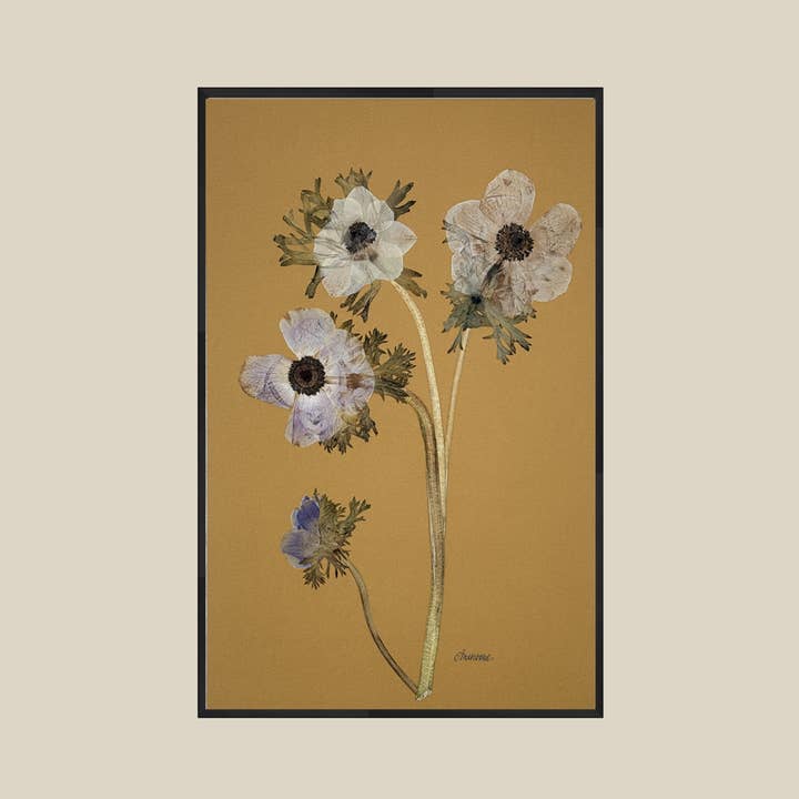 The Fleur De Lis House - Wholesale Art Print - Anenome on Mustard4