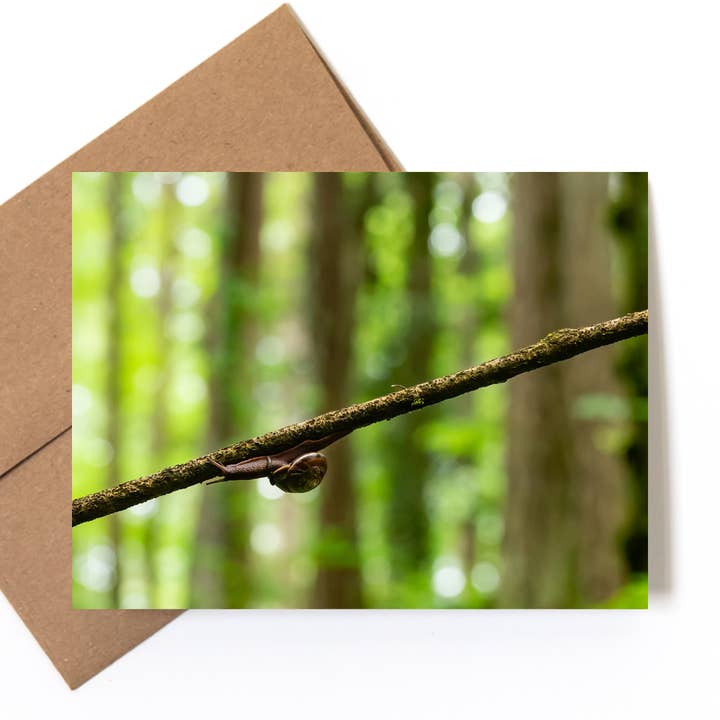 "Hang in There" Nature Photo Greeting Card for wholesale by Andrea Morris Art