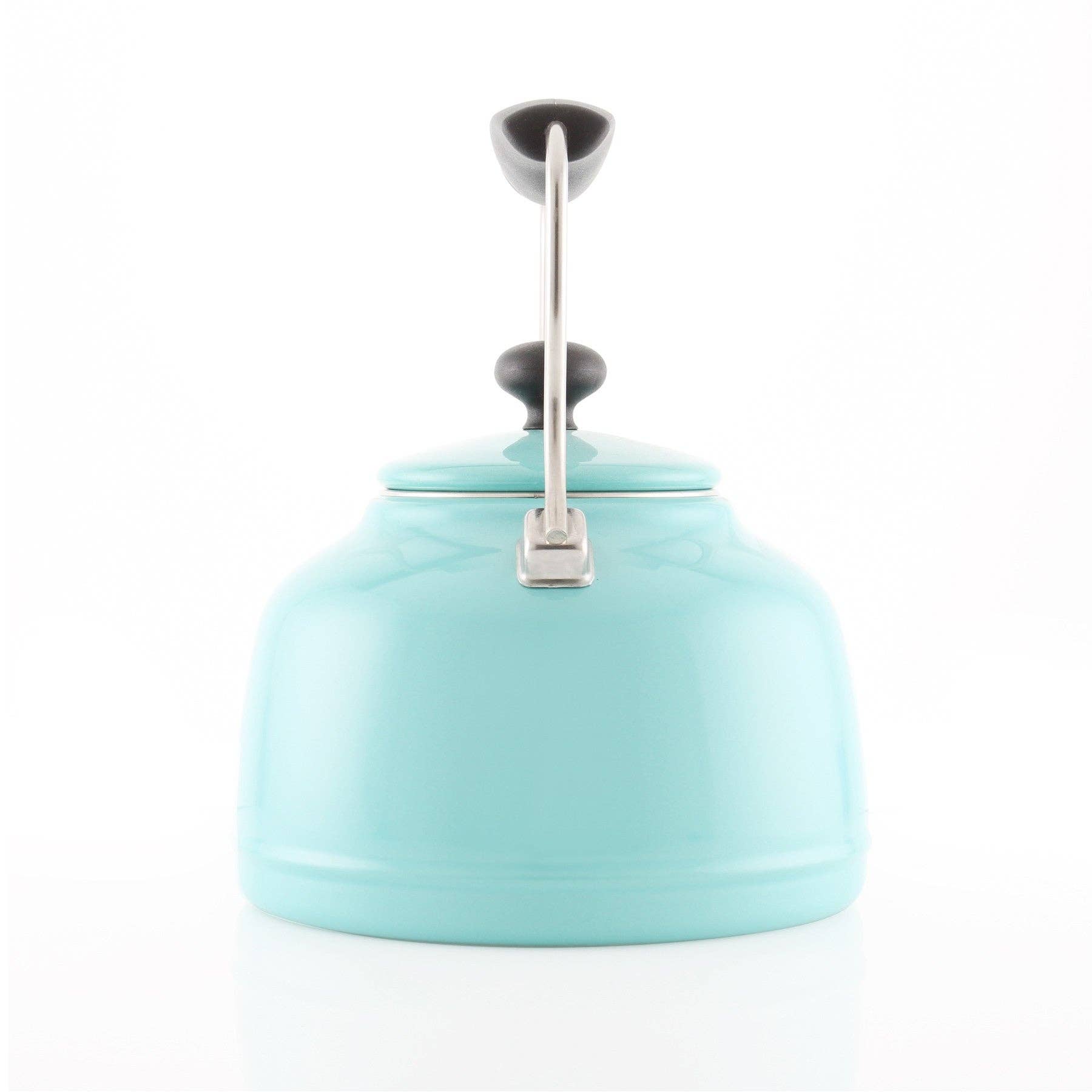 Chantal Cookware - Vente Théière - Collection de théières vintage en émail sur acier (1,7 pintes)9