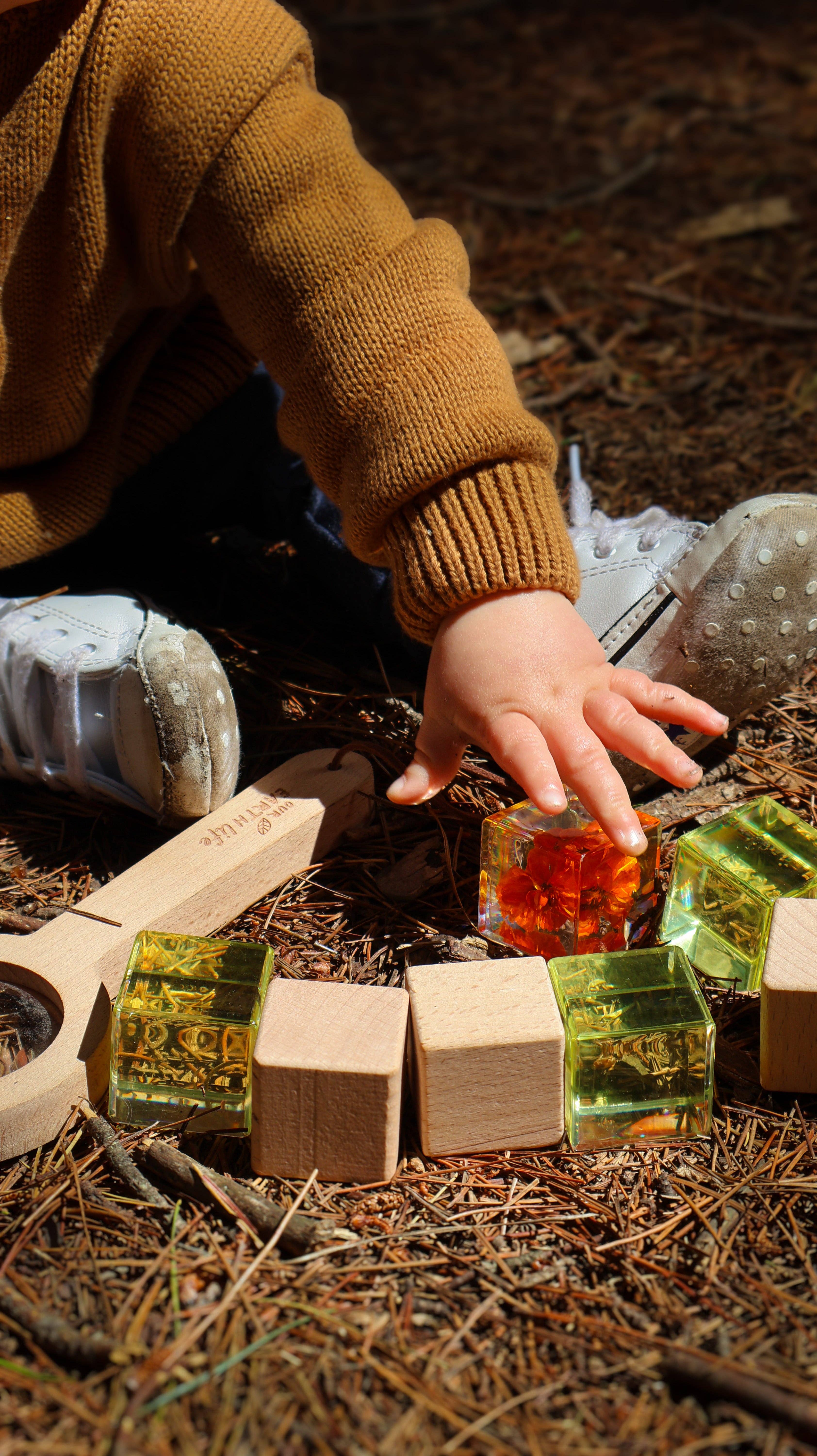 Our Earth Life - Vente Décorations de table - Cube de spécimen de fleur de souci2