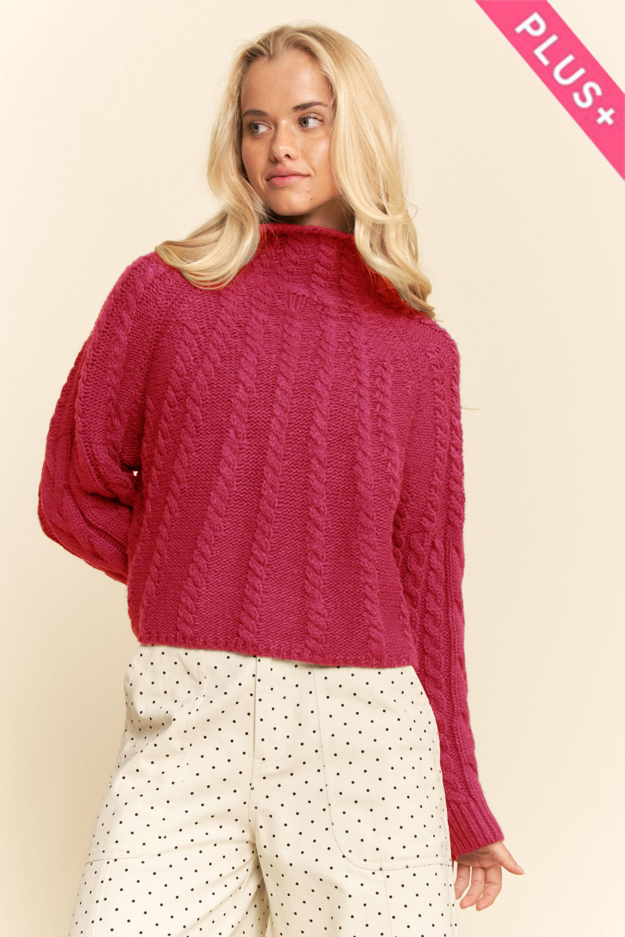 Davi & Dani - Wholesale Pullover-trui - Dames - PLUS KABELBREISE COLTRUI BREISTRUCTUUR TRUI4