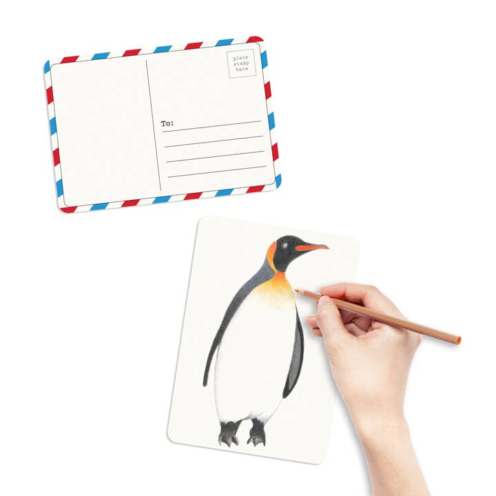 elseware unplug / eco-kids - Wholesale Postcard Set - Coloring Postcards w/ 6 Bird Designs (30cards) Stationary2