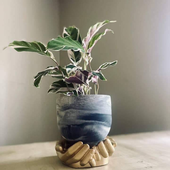 Queen City Crete - Wholesale Plant Pot - Bruce Planter 4"