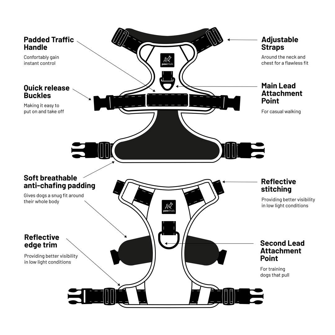 Pawshtails - Wholesale Tuig voor huisdieren - Hond - Blauwgroen Anti-Pull hondenharnas6