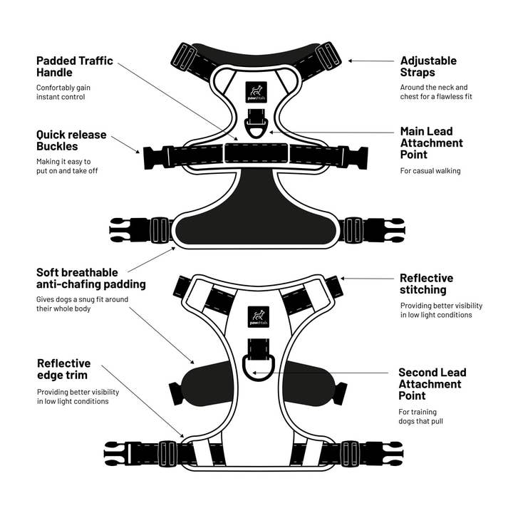 Pawshtails - Wholesale Tuig voor huisdieren - Hond - Blauwgroen Anti-Pull hondenharnas6