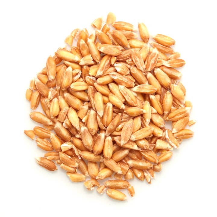 Organic Spelt Kernels, Spelt Berries, Seeds (50 lbs) for wholesale by Tootsi Impex