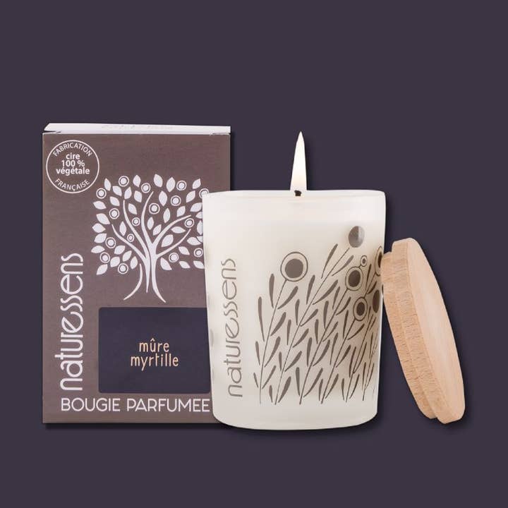 ALPES COLLECTION blueberry blackberry vegetable wax scented candle for wholesale by NATURESSENS