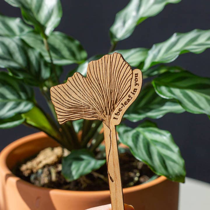 Hereafter - Wholesale Garden/lawn stake - I Be-leaf In You Ginkgo Wood Plant Pick2