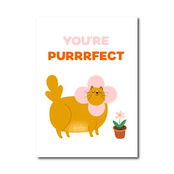 Kaart you're perfect cat for wholesale by Only Happy Things Stationery