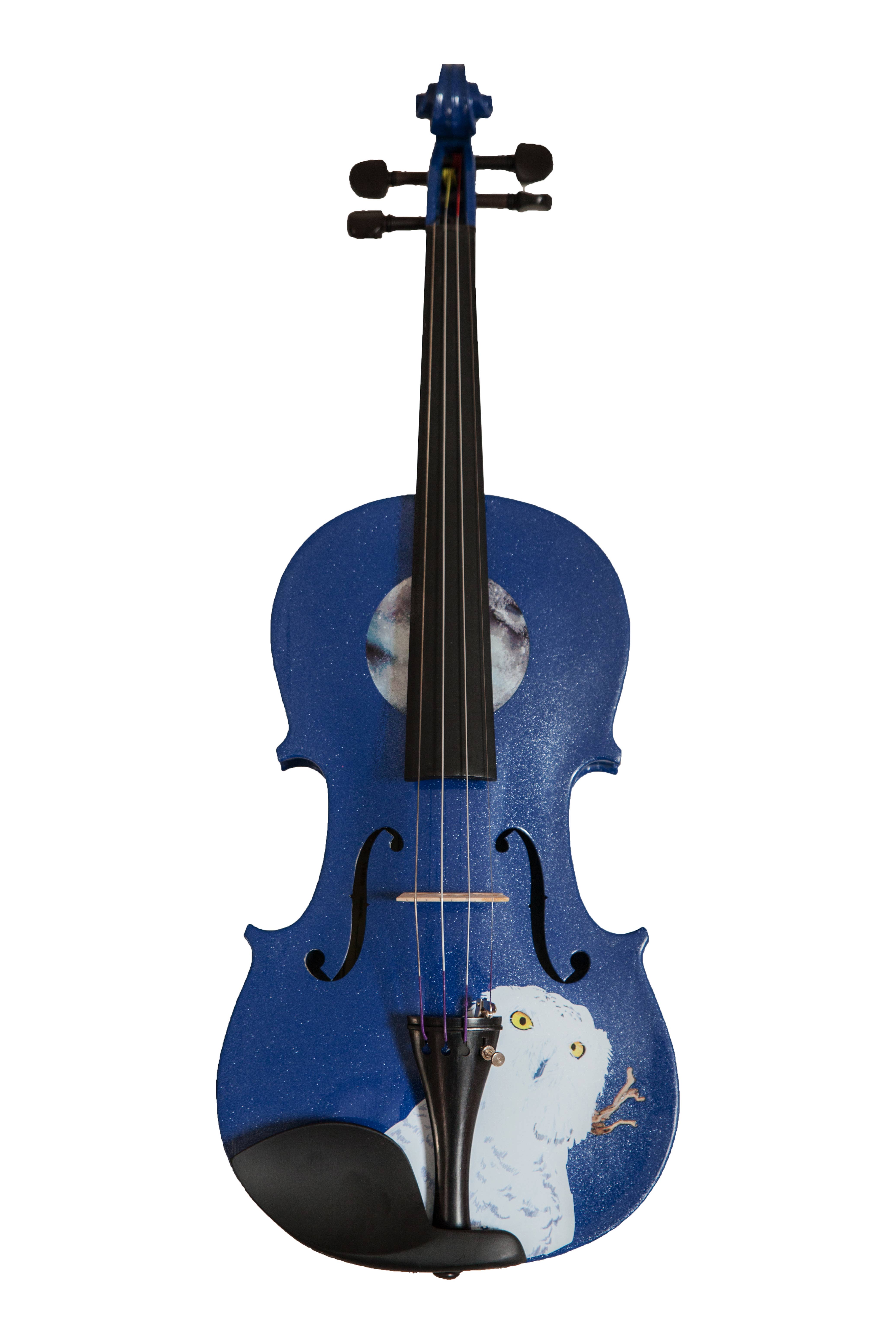 Rozanna's Violin - Vente Instruments de musique - Tenue de violon Mystic Owl5