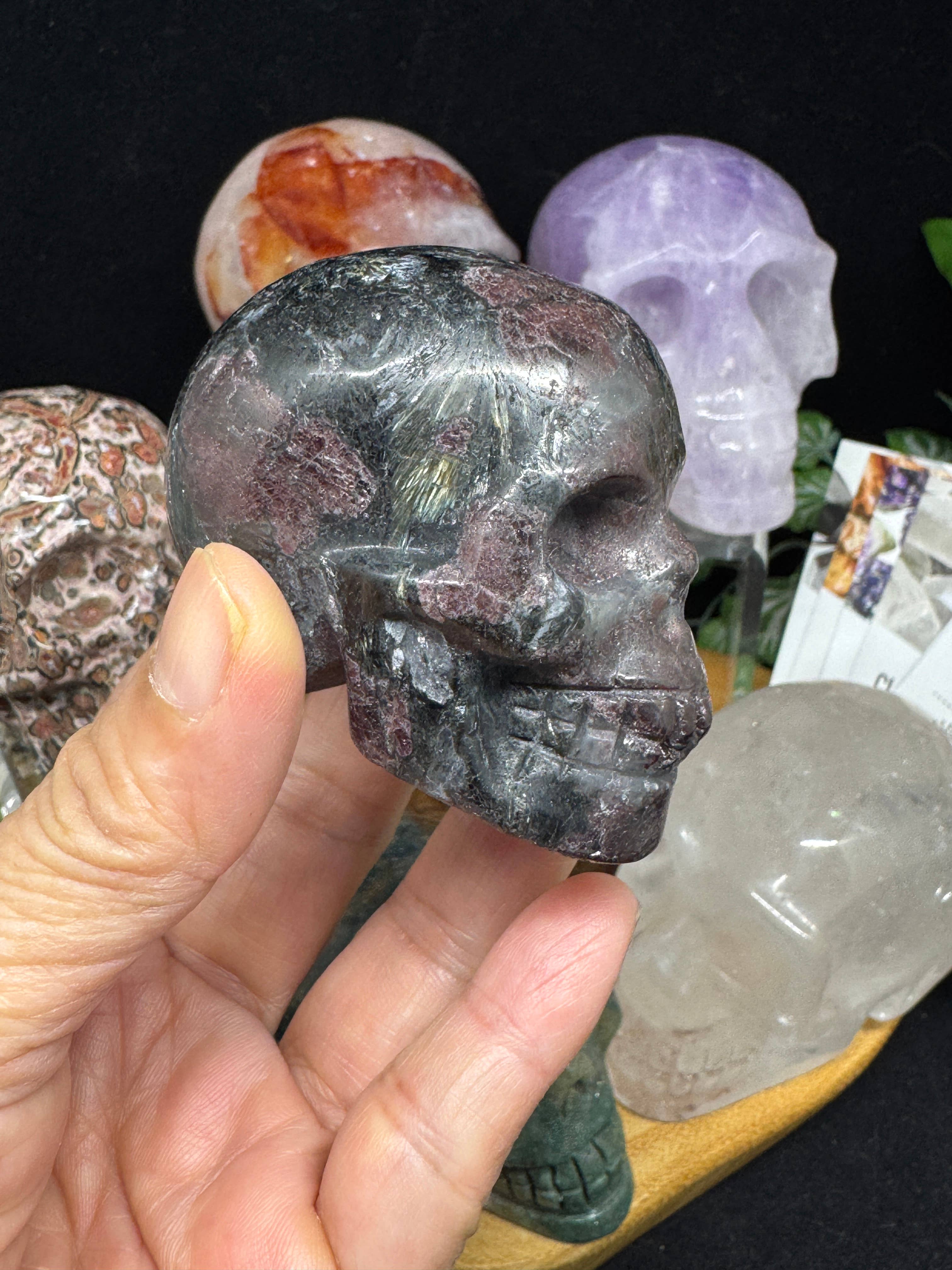 The 7 Directions - Wholesale Spiritual Stone/Crystal - 6 pc Ocean Jasper Leopardite fire quartz skull bundle G8059