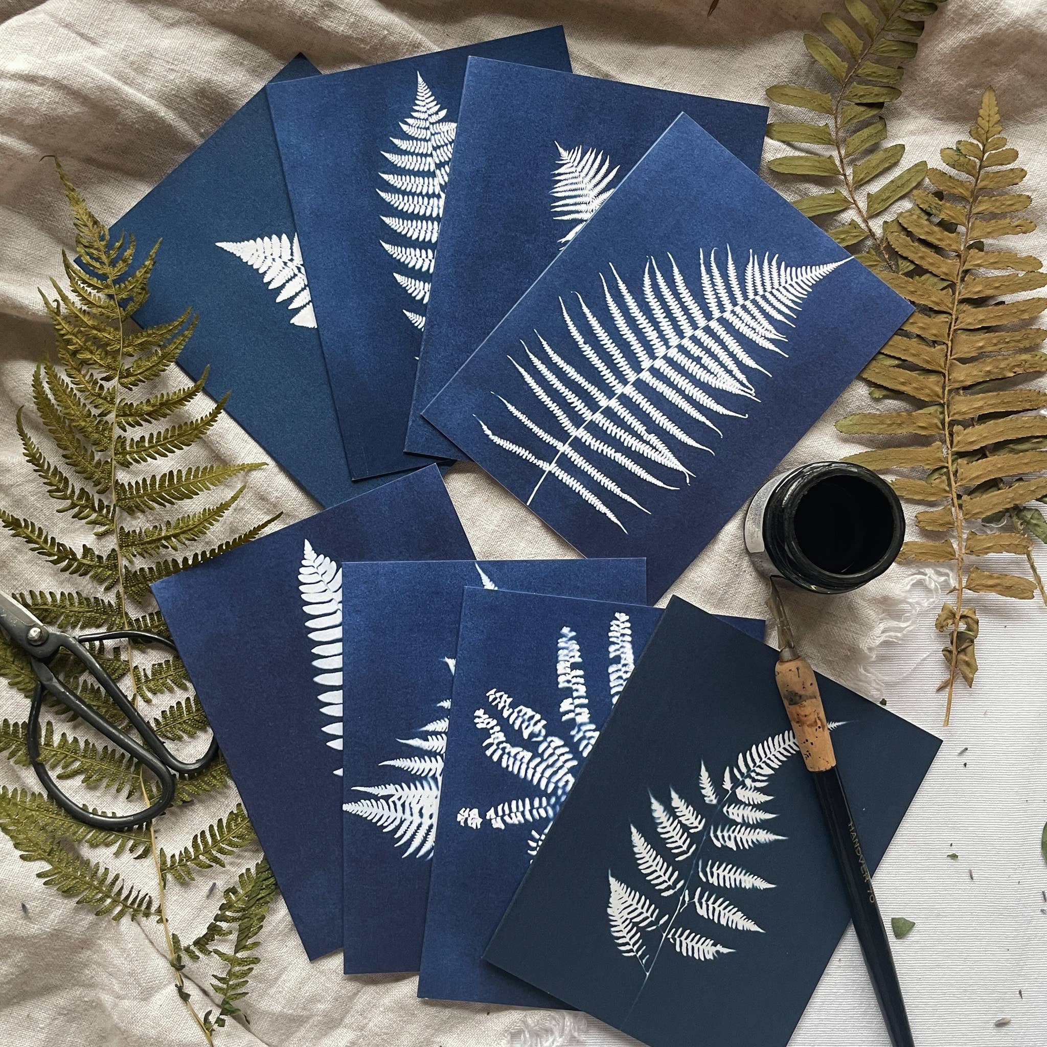 Atwater Designs - Vente Carte de vœux classique - Coffret de cartes de vœux Ferns | Botanical Cyanotype1