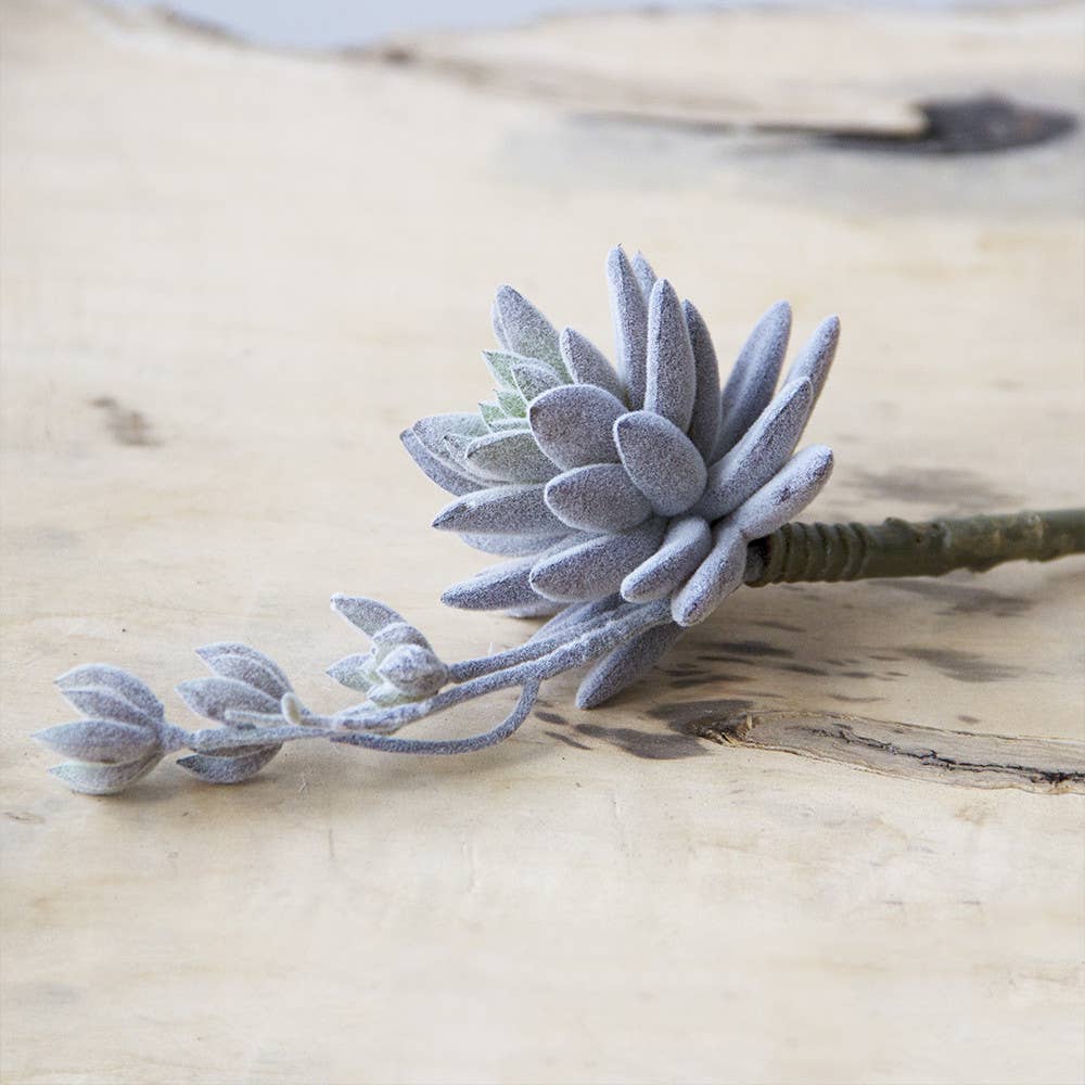 Chive UK - Wholesale Artificial Plant - Succulent Artificial Bulk Faux Succulents Kit SALE7