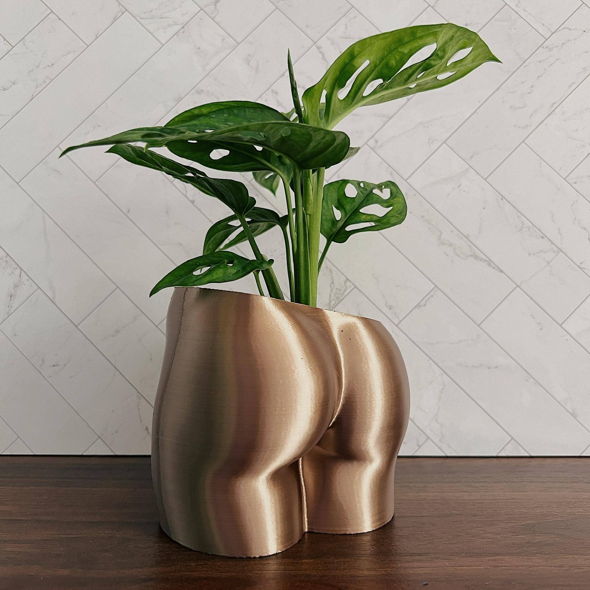 Peachy Pilea – Engroshandel Plantekrukke – Original Peachy Planter | Flere størrelser+tilgængelige farver7
