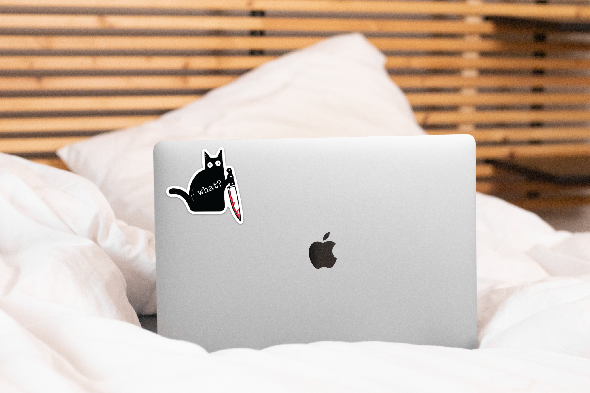Yarnival - Wholesale Phone & Laptop Stickers - Murder Cat Sticker - what? kitten, kitty, animal, adopt2