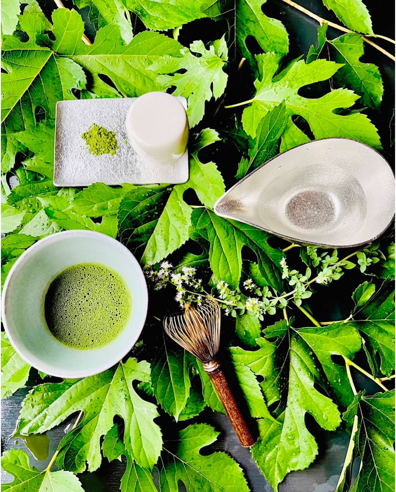 BotaPia - Wholesale Health/Detox Tea - CaffeineFree, 100% Organic Mulberry Matcha3