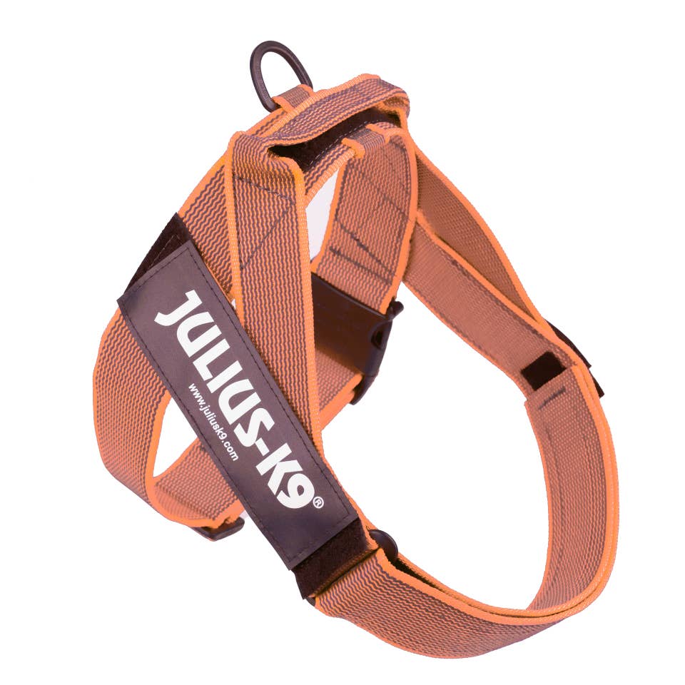 Julius K9 - Wholesale Pet Harness - Dog - Ergonomic Ergonomic CintaIDC Pet Dog Harness Orange1