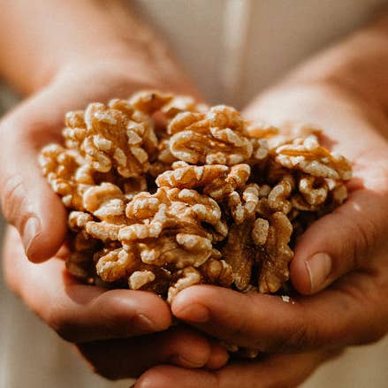 Best Seller Mixed Case Sprouted Walnuts (8 oz bags) for wholesale by Tenderlyrooted