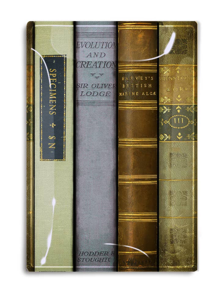 New York Public Library British Studies Decoupage Tray for wholesale by Ben's Garden