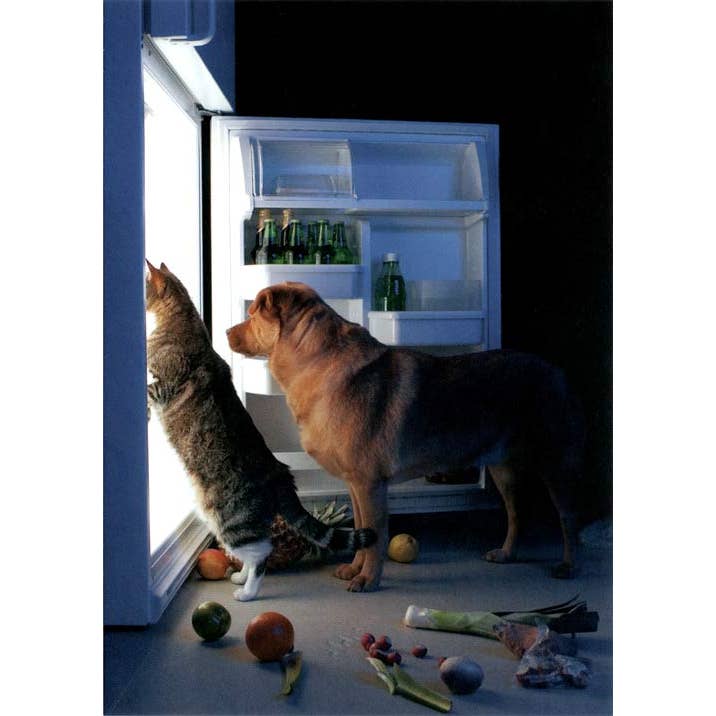 VisionWorks LLC - Vendita all'ingrosso Cartoline - Cartolina. Cane e gatto che puliscono il frigorifero.