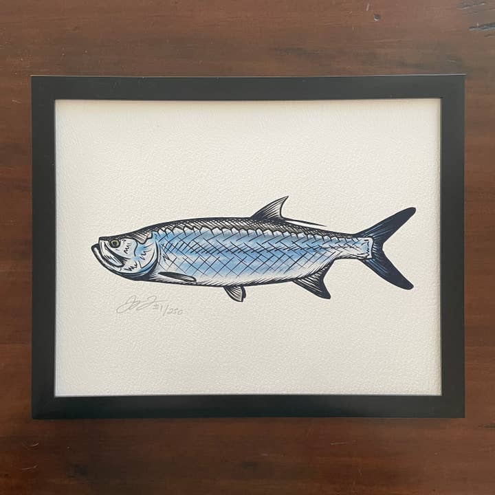 Jaybo Art - Wholesale Art Print - Tarpon Print (Frame not included)
