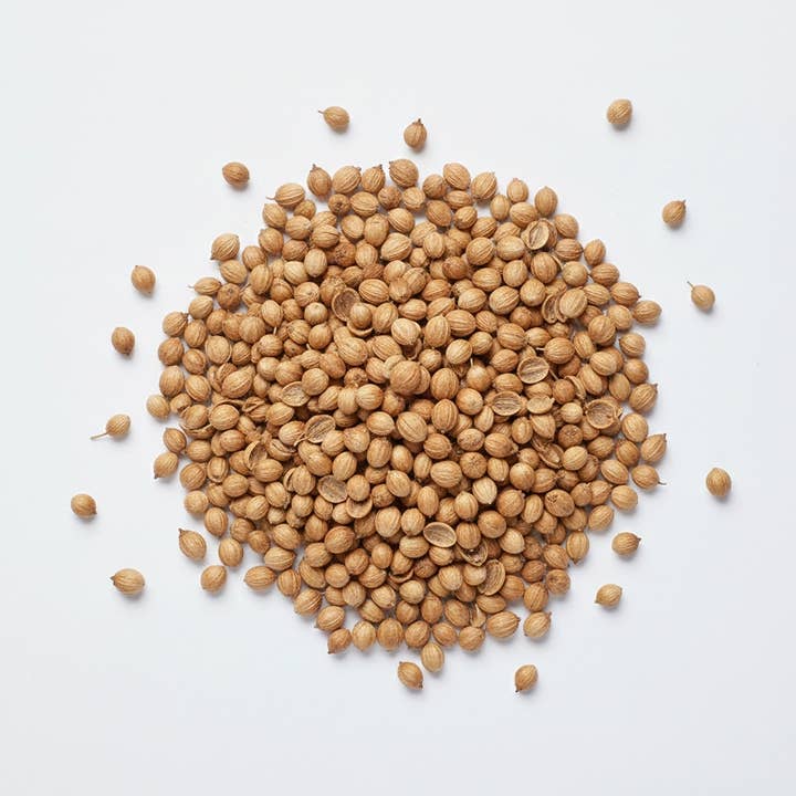 Graines de coriandre pour la vente par Maison Myra