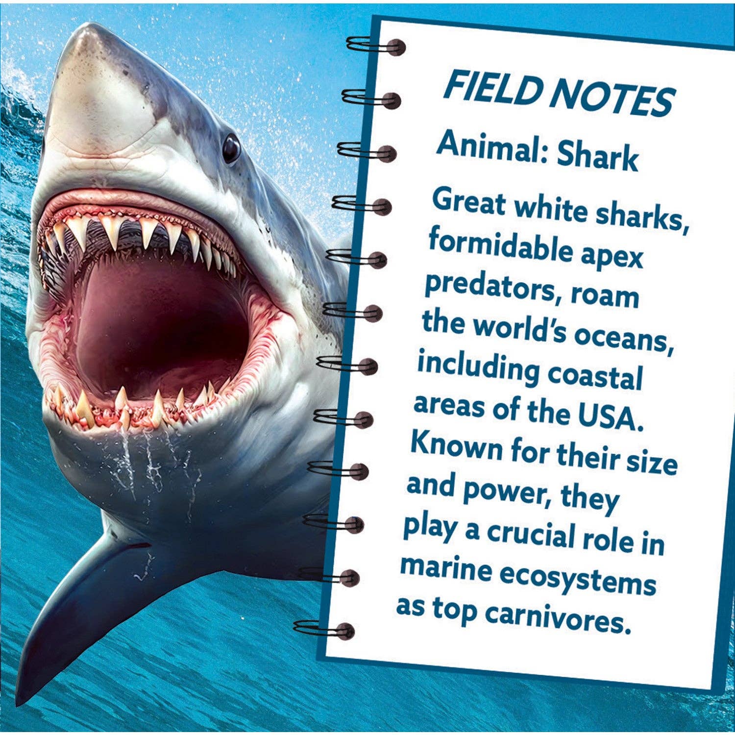 Masterpieces Puzzles - Vente Puzzle – enfant - Puzzle en forme de requin de 100 pièces1