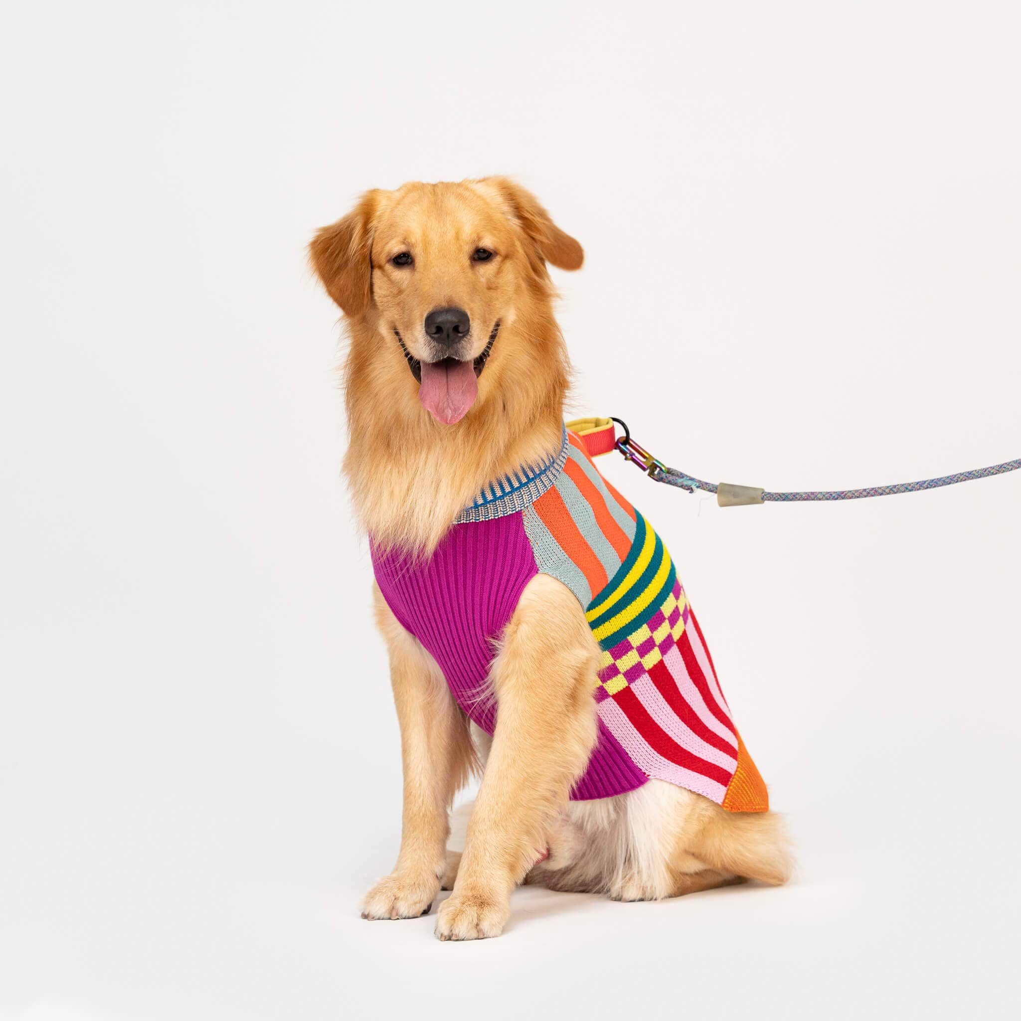 VERLOOP | knits - Vente Pull – chien - Pull pour chien à motifs variés7