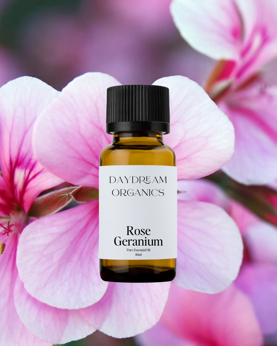 Daydream Organics | Prairie Doctor Brand - Wholesale Essential Oil - Rose Geranium Essential Oil0