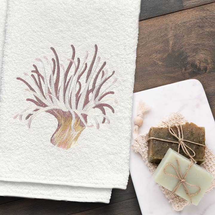 Seeanemone für den Großhandel von ANALI