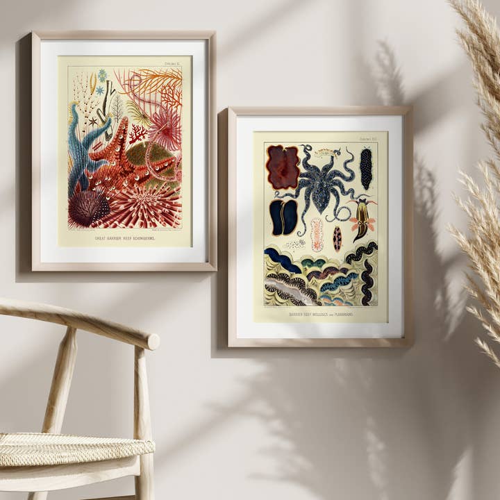 Vintage Sea Life & Botanical Butterfly Poster Set for wholesale by Vintage Wall Graphics