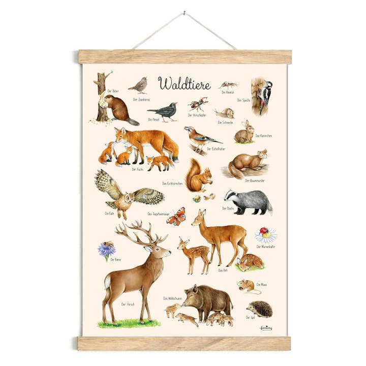 Forest Animals Beige Poster 50x70cm Unframed Animal Poster Learning Post for wholesale by fioniony®