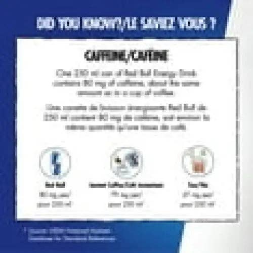 Echo Sales Canada - Wholesale Sports/Energy Drink - Red Bull Energy Drink, Sea Blue Edition, 250 mL (24pack)3