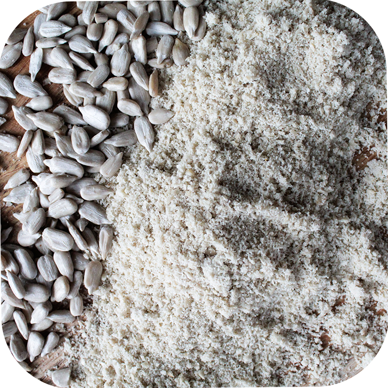 Think.Eat.Live. - Wholesale Flour - SunFlour® 5lb Bulk (sunflower seed flour)2