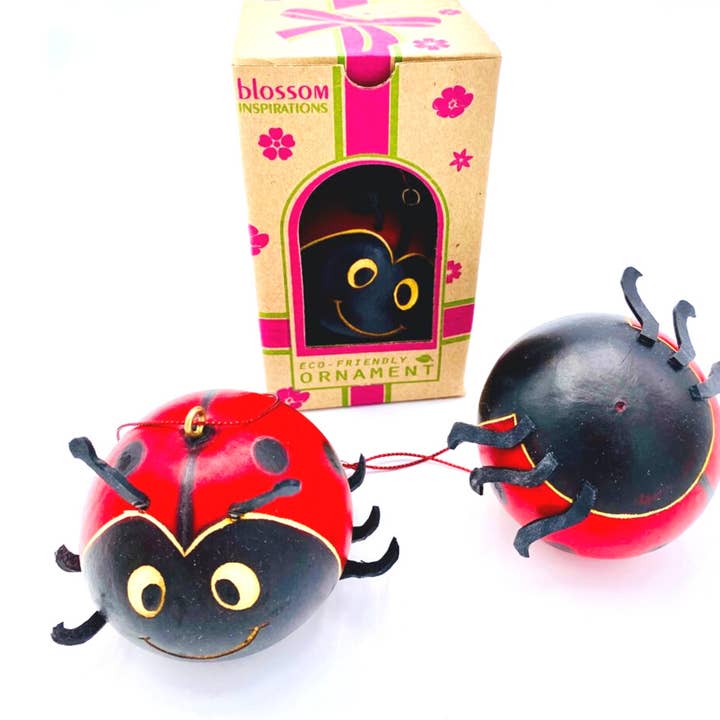 Blossom Inspirations - Wholesale Ornament - Ladybug gourd5