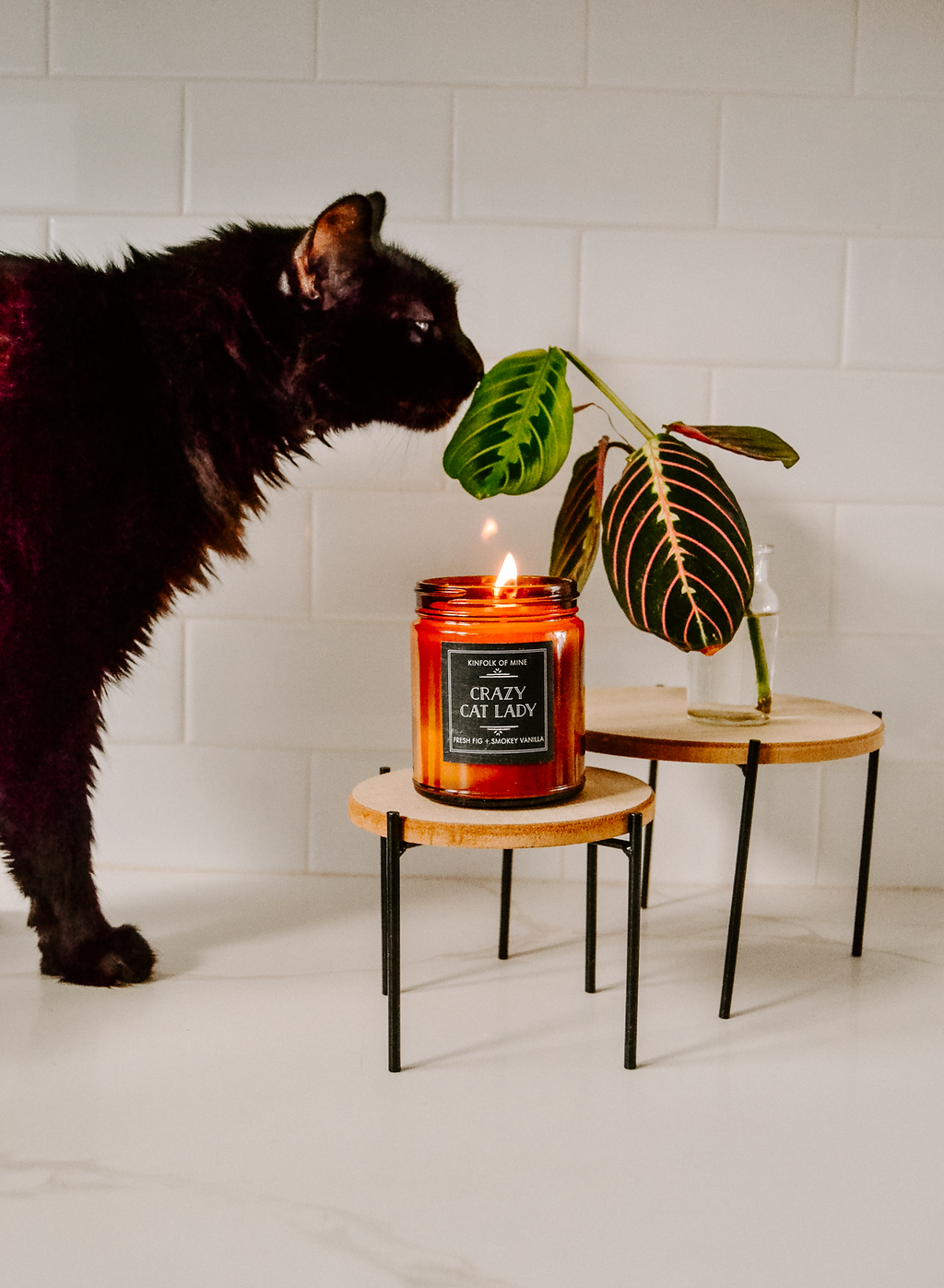 Kinfolk of Mine - Venta al por mayor Velas en tarros - Crazy Cat Lady - Vela1