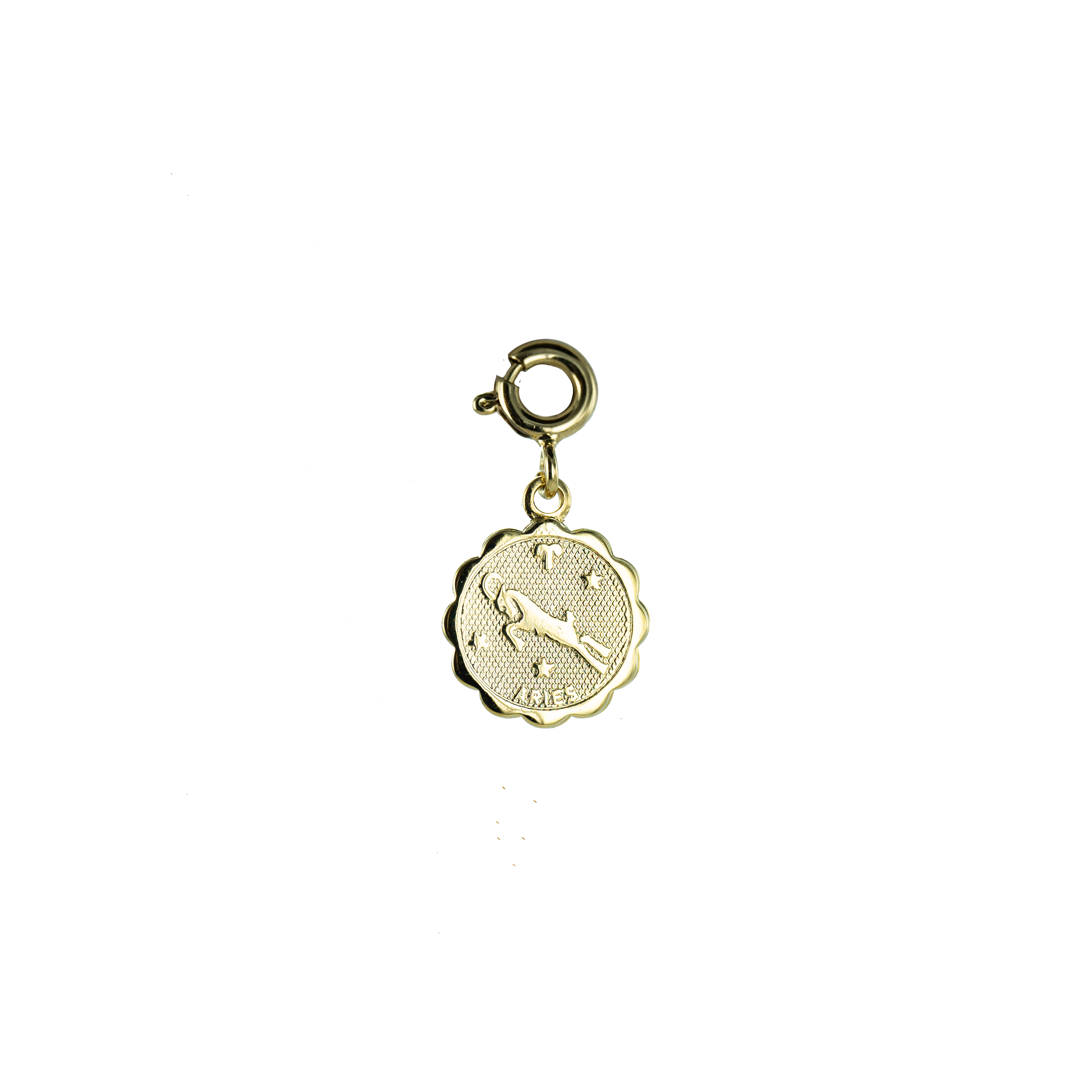 Bijoux Fabrication Française - Wholesale Individual Charm/Pendant - Removable Medal/Charm - 18K Gold - Astrological Sign2