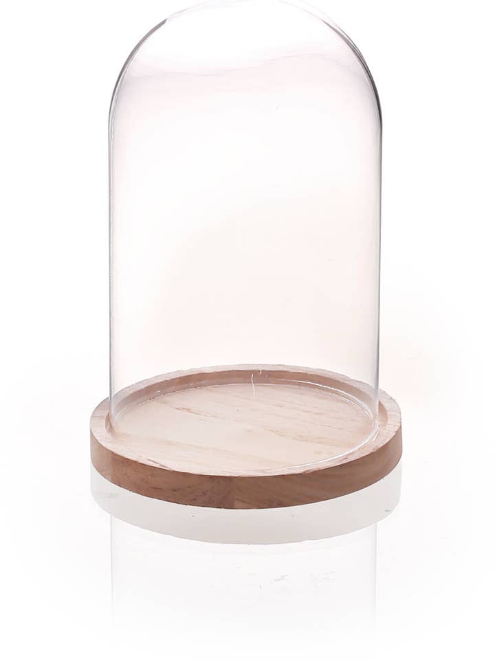 Glasklokke med træbase Ø14 cm H21 cm for engroshandel hos Graine Créative