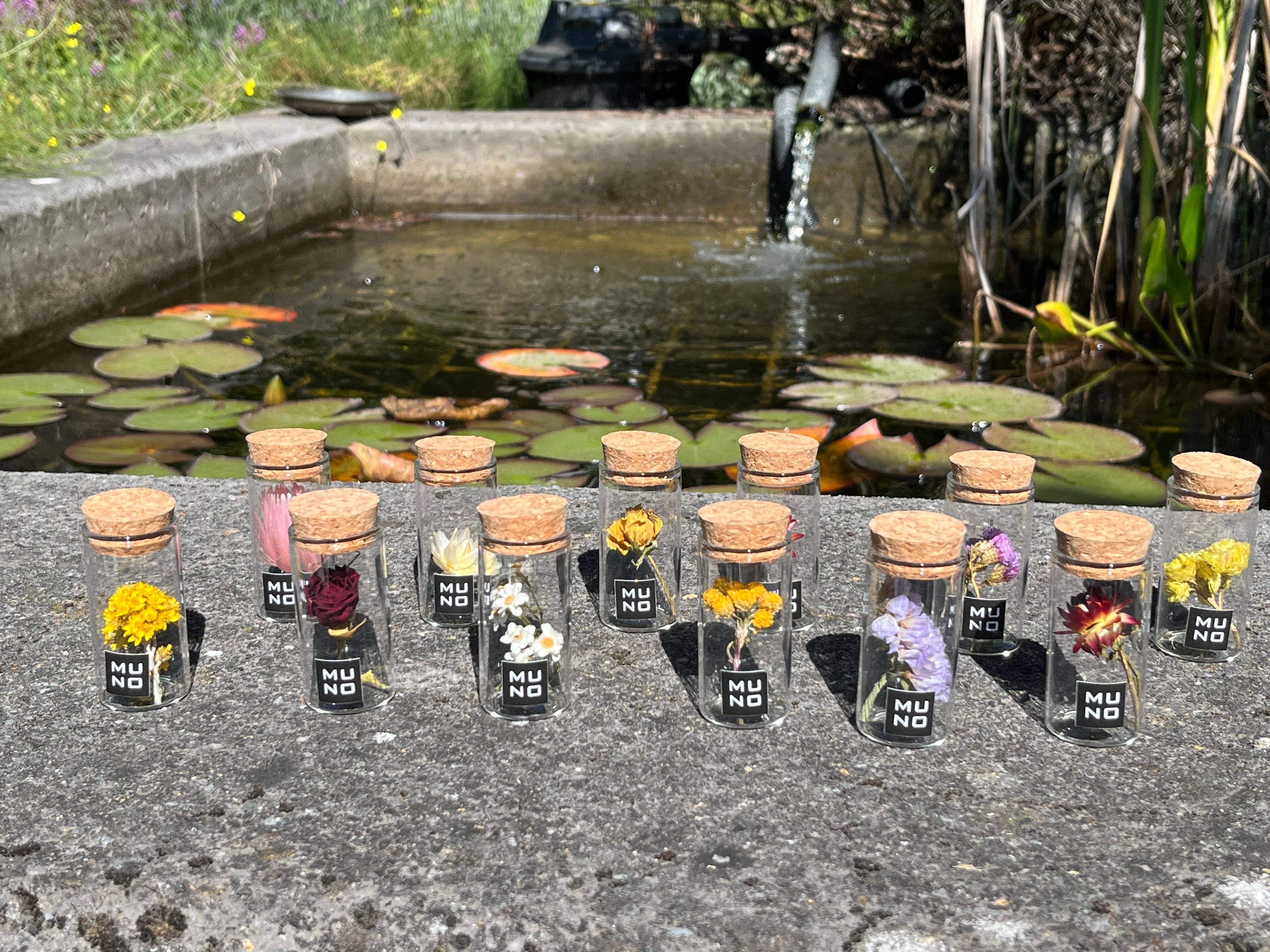 Muno - Wholesale Dried/Pressed Flowers - TUBE 6 CM WITH DRIED FLOWER5